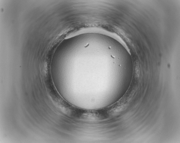 X0000087740211200705211020