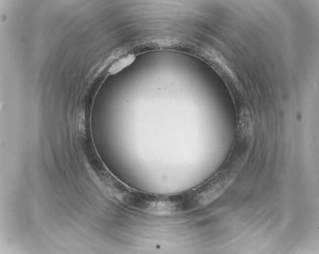 X0000087740212200705211020