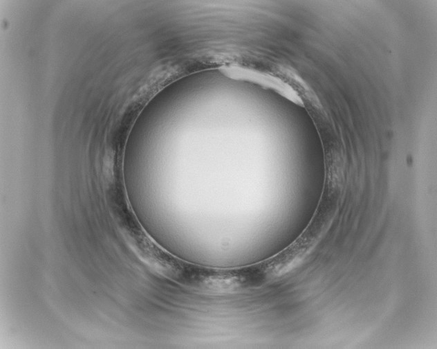 X0000087740213200705211020