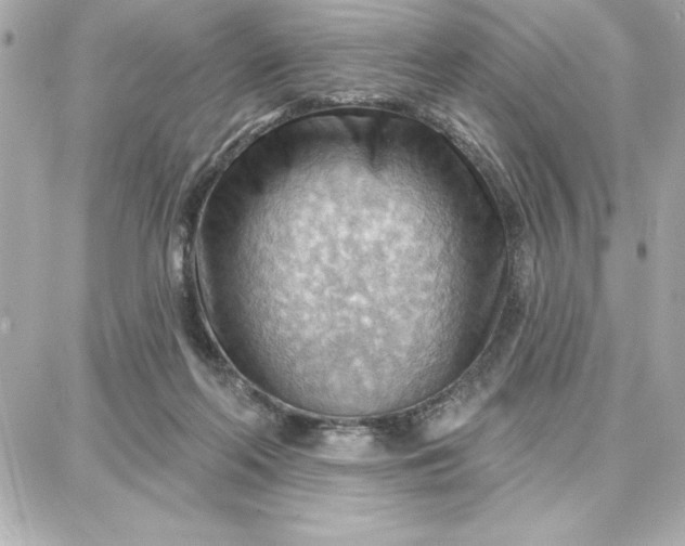 X0000087740214200705211020