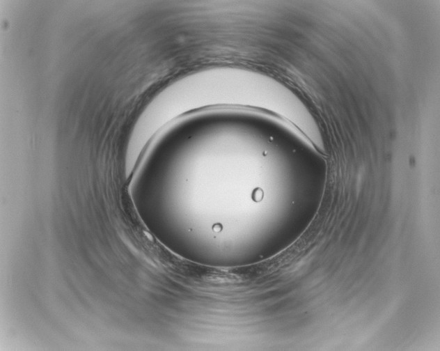 X0000087740215200705211020