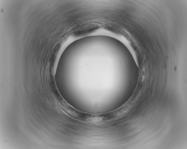 X0000087740217200705211020