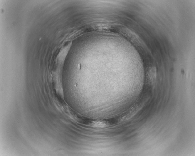 X0000087740218200705211020