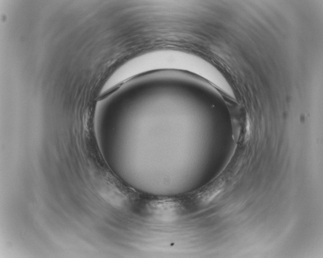 X0000087740219200705211020