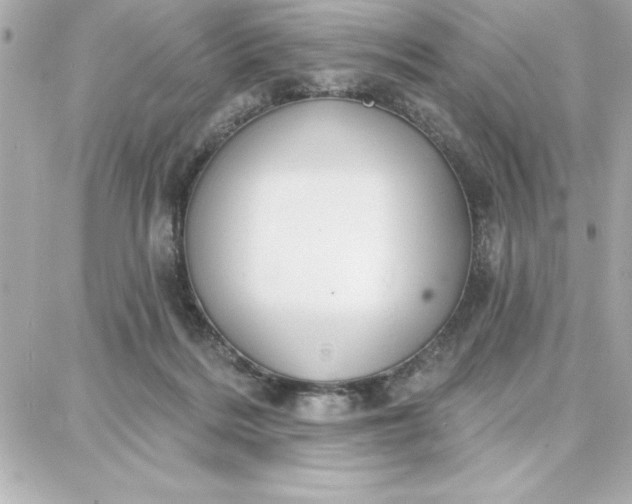 X0000087740220200705211020