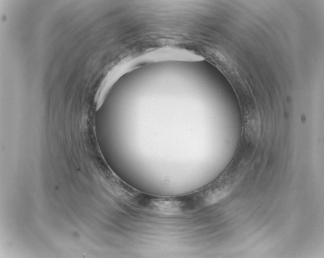 X0000087740221200705211020