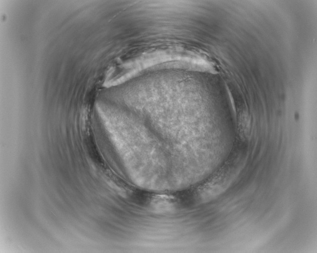 X0000087740222200705211020