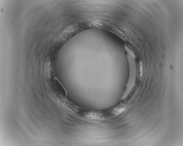 X0000087740223200705211020