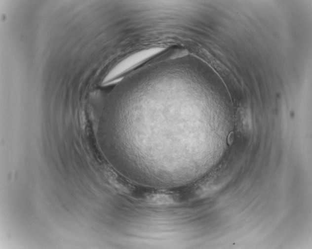 X0000087740224200705211020