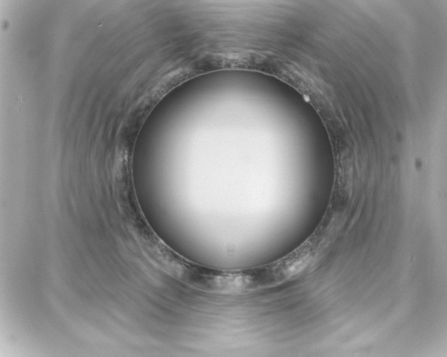 X0000087740225200705211020