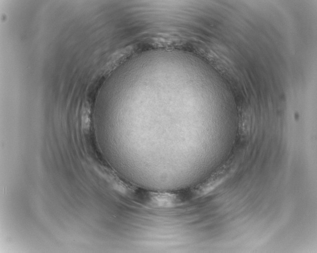 X0000087740226200705211020