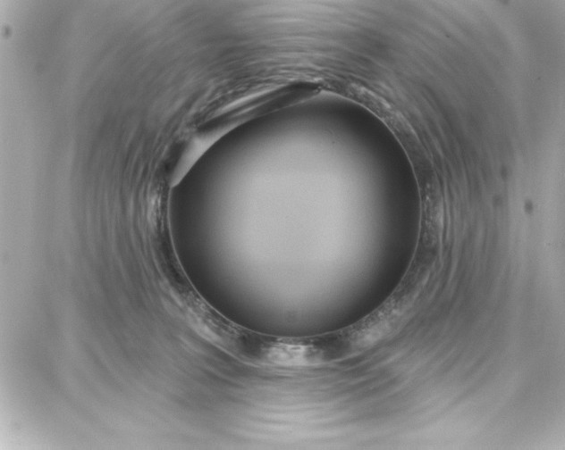 X0000087740227200705211020