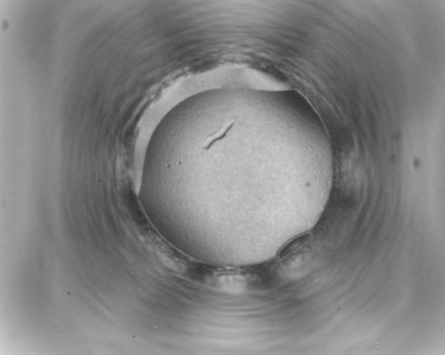 X0000087740228200705211020