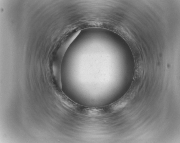 X0000087740229200705211020