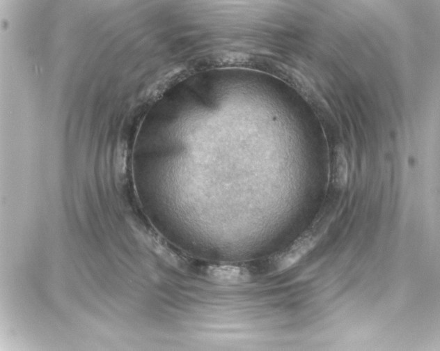 X0000087740230200705211020