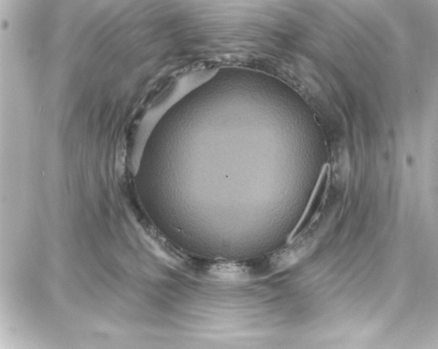 X0000087740231200705211020