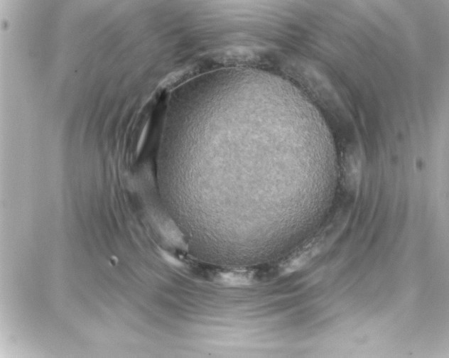 X0000087740232200705211020