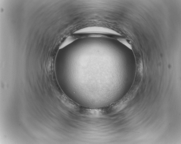 X0000087740233200705211020