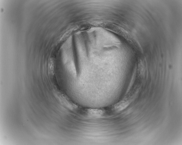 X0000087740234200705211020