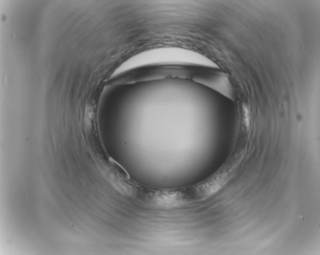 X0000087740235200705211020