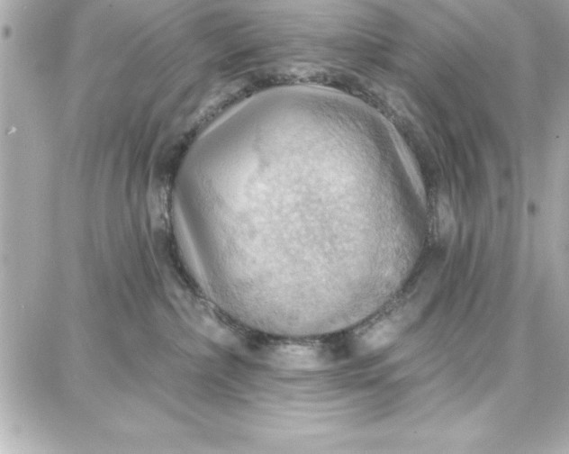 X0000087740236200705211020