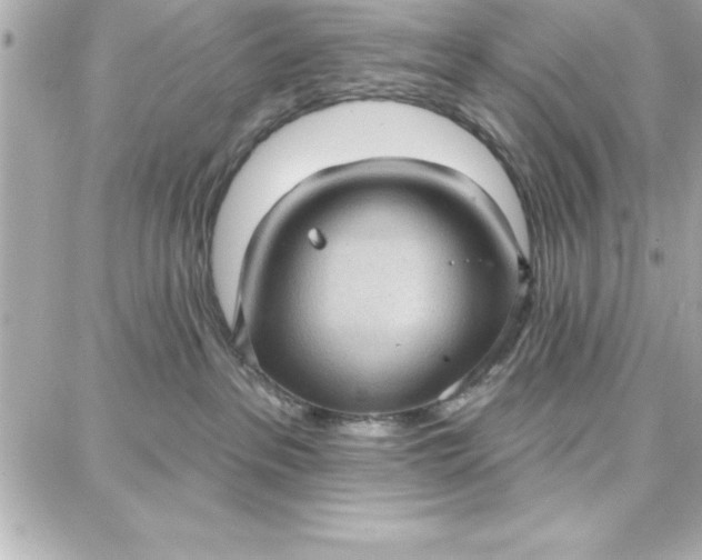 X0000087740237200705211020