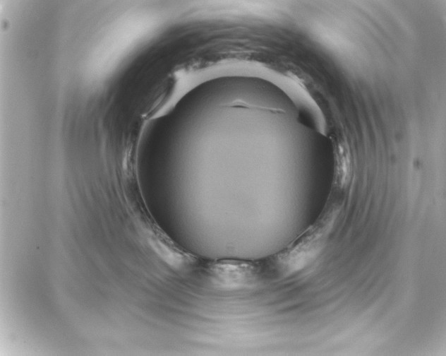 X0000087740239200705211020