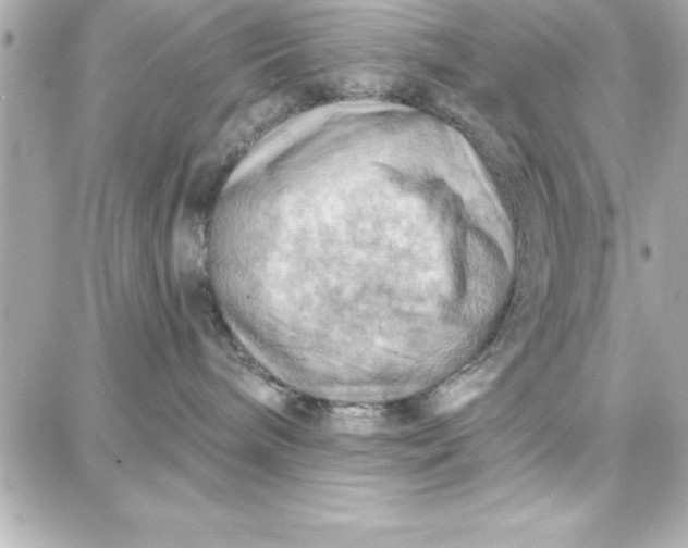 X0000087740240200705211020