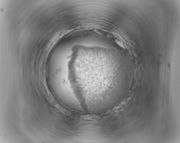 X0000087740241200705211019