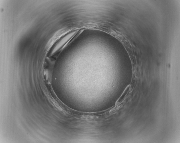 X0000087740242200705211019