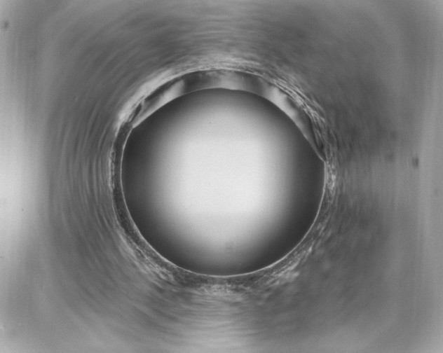 X0000087740244200705211019