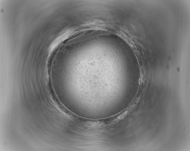 X0000087740245200705211019