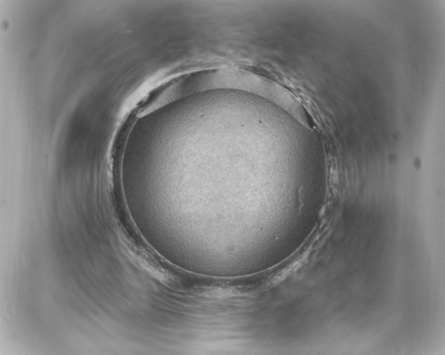 X0000087740246200705211019