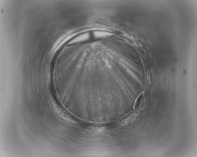 X0000087740247200705211019