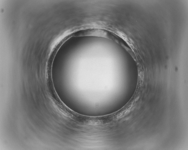 X0000087740248200705211019