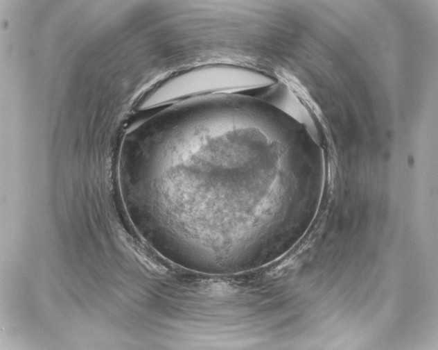 X0000087740249200705211019