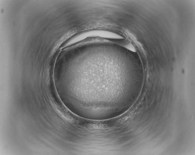 X0000087740250200705211019