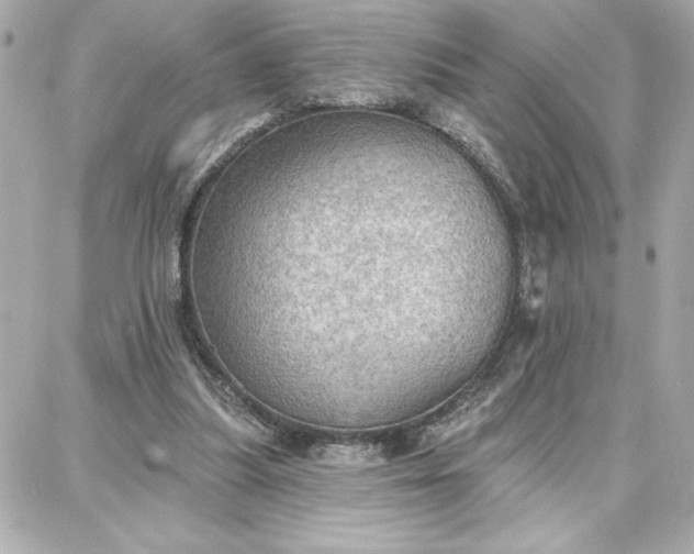 X0000087740251200705211019