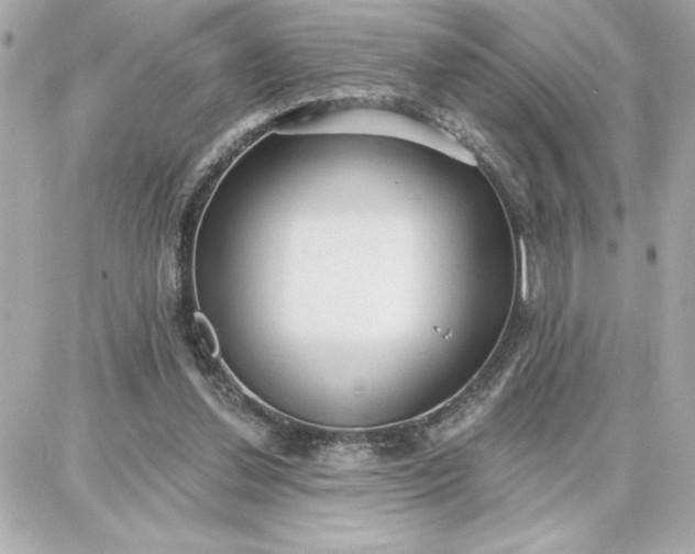 X0000087740252200705211019