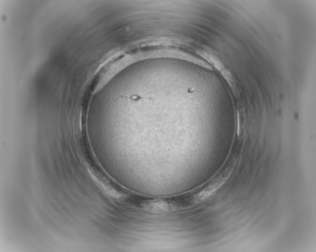 X0000087740253200705211019