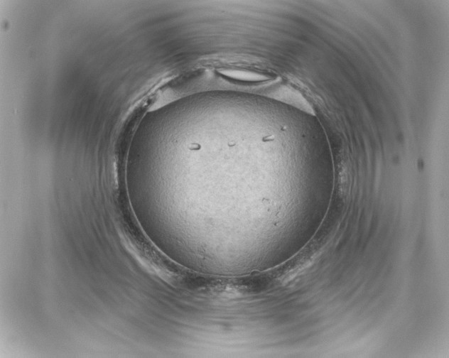 X0000087740254200705211019