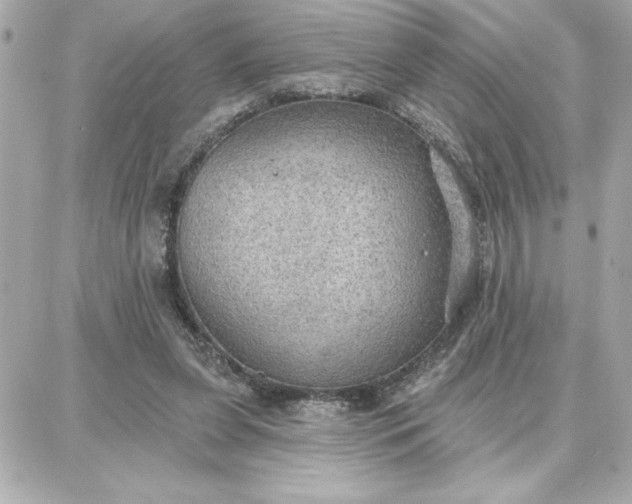 X0000087740255200705211019