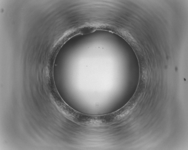 X0000087740256200705211019