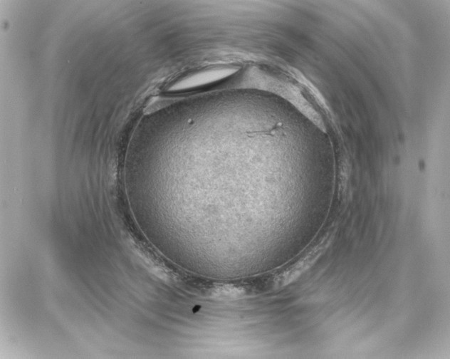 X0000087740257200705211019