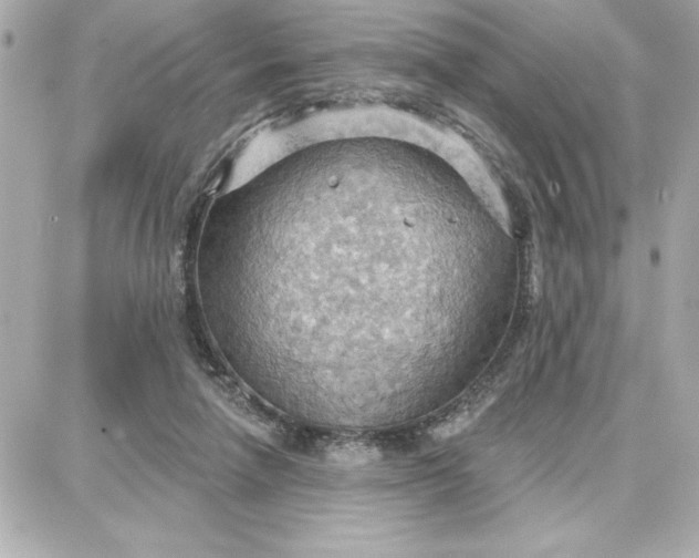 X0000087740258200705211019