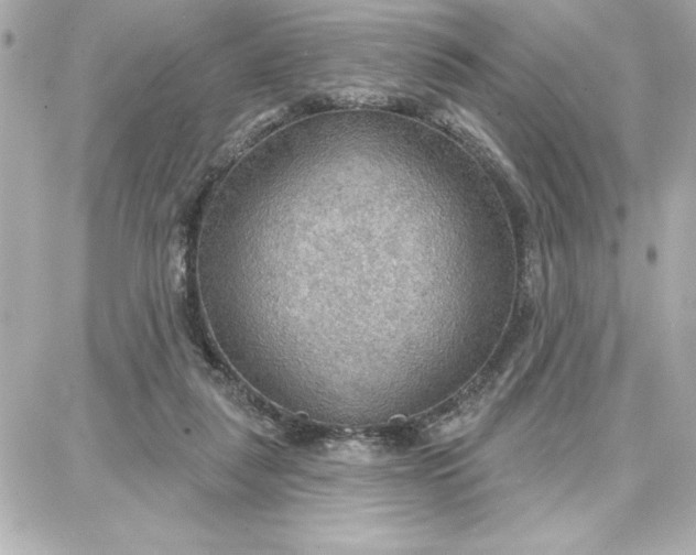 X0000087740259200705211019