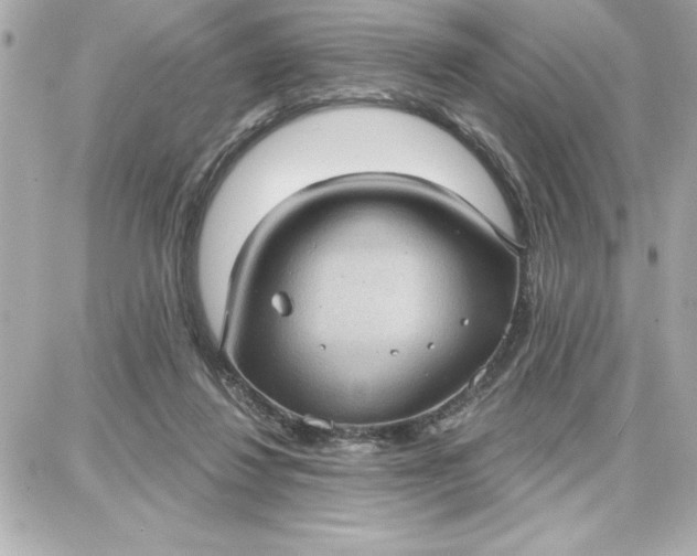 X0000087740260200705211019