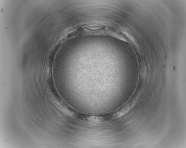 X0000087740261200705211019