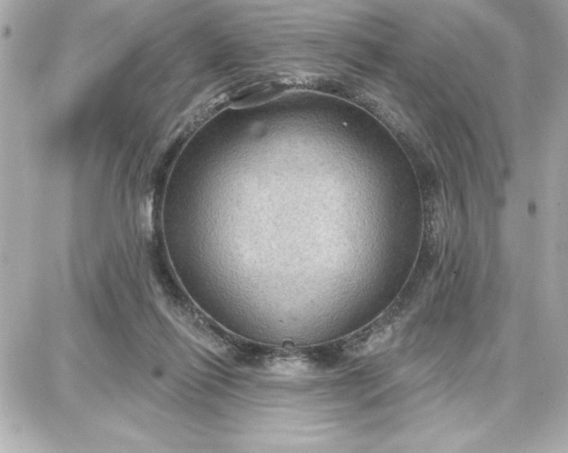 X0000087740262200705211020