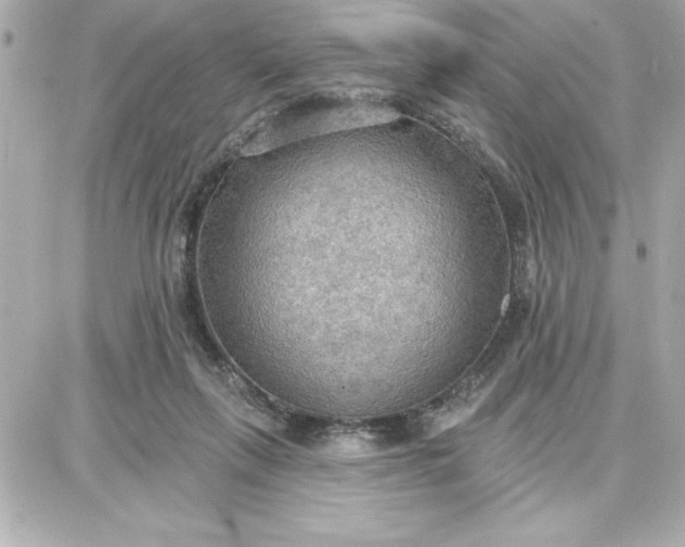 X0000087740263200705211020